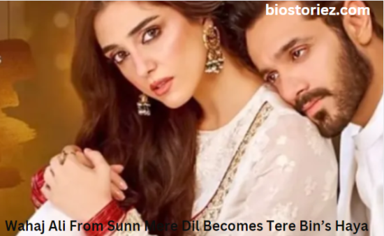 Wahaj Ali From Sunn Mere Dil Becomes Tere Bin’s Haya